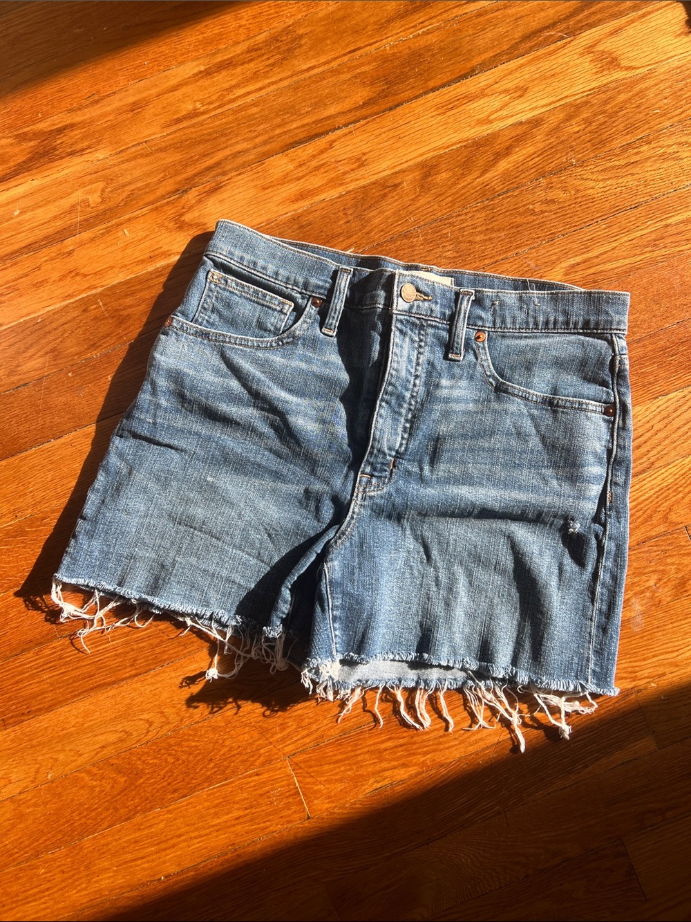 Madewell Blue Frayed Hem Denim Shorts